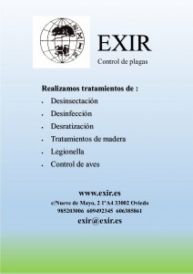 Servicios ofrecidos por EXIR